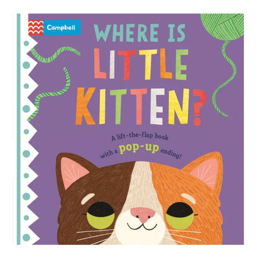 where is little kitten?